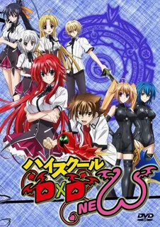 Старшая школа DxD
